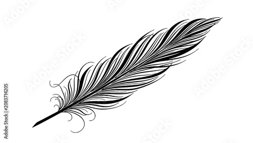 Stylized Black Feather Illustration, Bold Decorative Bird Quill on Isolated White Background.
