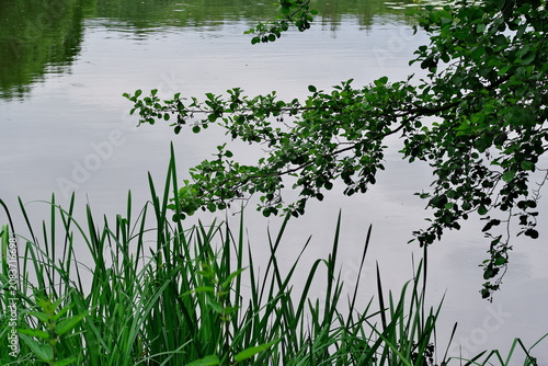 Cybina River Valley, view of the river on a spring day