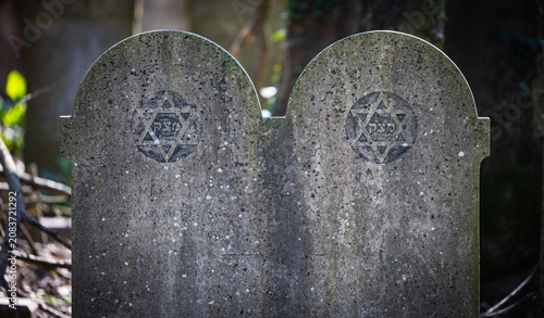 Photography Jewish gravestone with Star of David in Ferrara cemetery