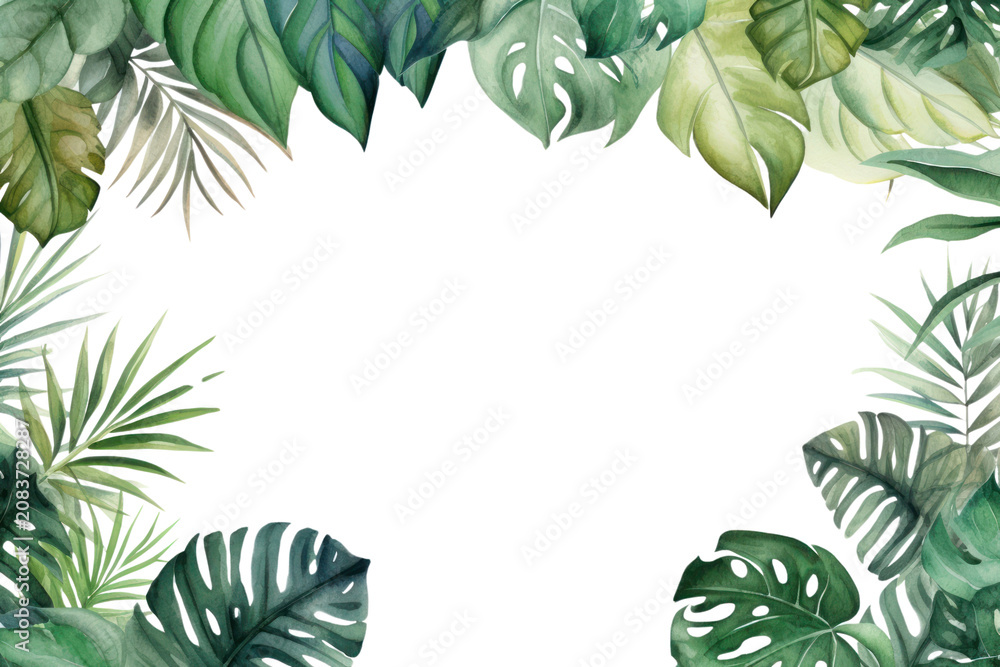 Fototapeta premium PNG Memphis tropical leaves outdoors nature plant.