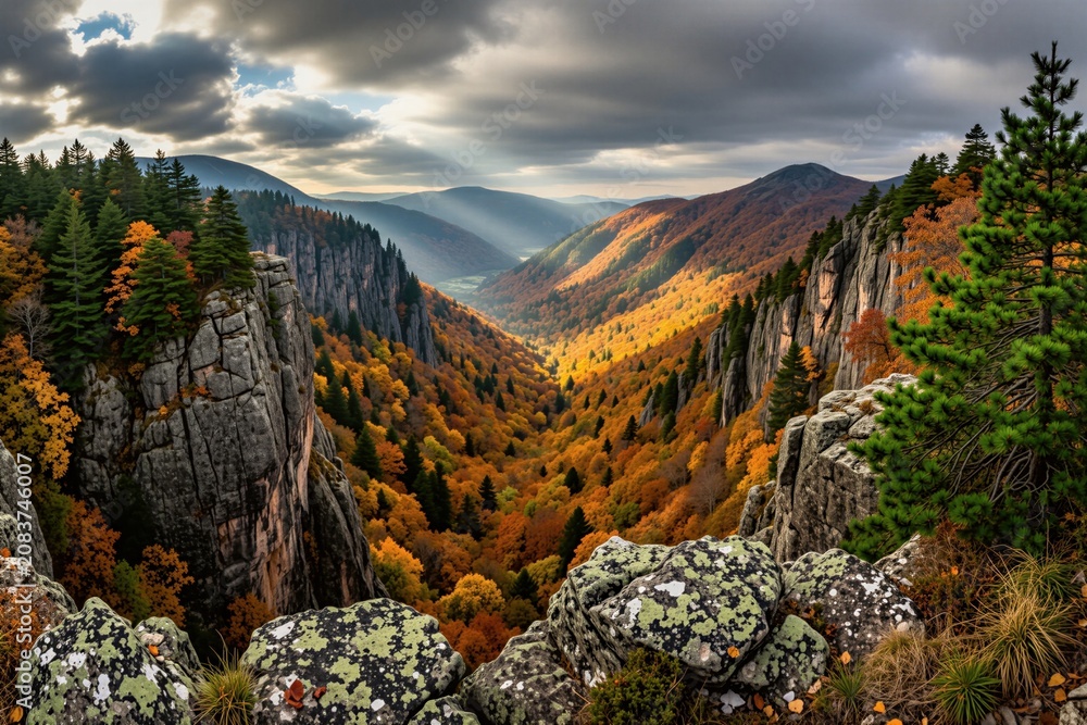 Obraz premium View from rocky cliff over autumn mountain valley, bright orange forest stretches far below. Tall evergreen trees stand against dramatic cloudy sky with sun rays piercing through.