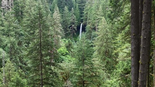 A beautiful waterfall flows out of an extensive forest in Oregon. The scenic Pacific Northwest is known for its many rivers, vast forests, and iconic mountains. 