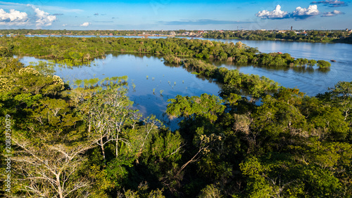 Lush flooded forest and vibrant green treetops emerging from the pristine blue waters of the Amazon basin during a bright day.