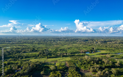 Endless green canopy of the Peruvian low amazon jungle stretching toward a crisp summer horizon under a bright blue sky.