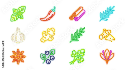 Vibrant Assortment of Culinary Herbs and Spices, Illustrated in a Textured Style
