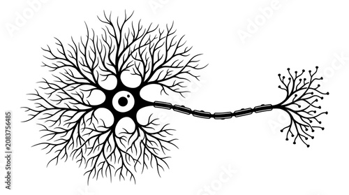 Abstract Neuron Cell Illustration - Black and White Medical and Science Graphic