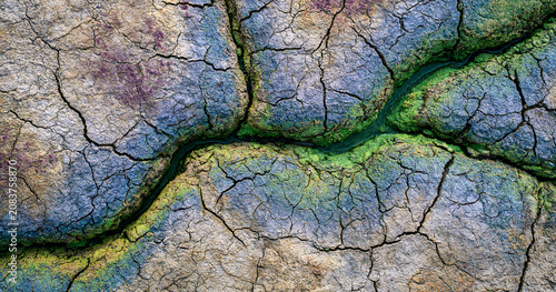 Water Channels Bringing Green Life to Cracked Earth