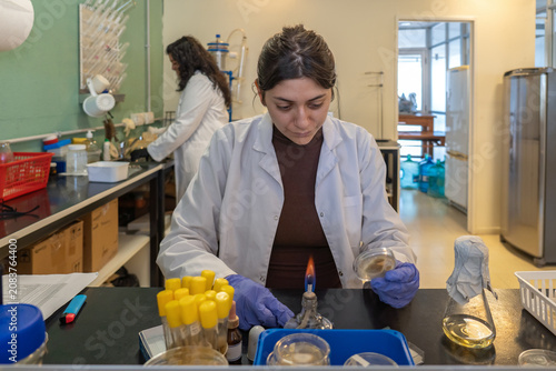 Photos Female scientist working with alcohol lamp and petri dish in lab