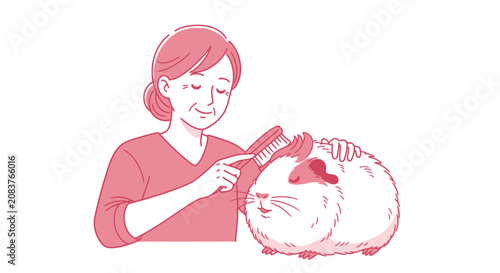 Cuadro en lienzo Woman grooming pet guinea pig with a brush