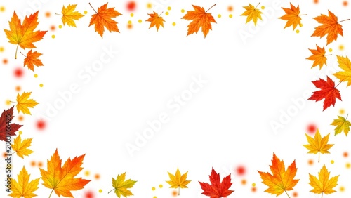 Watercolor Japanese Maple Leaves Autumn Frame Background