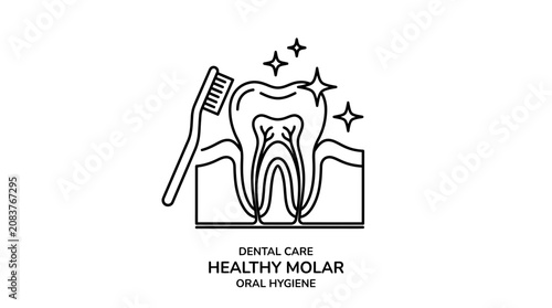 Obraz na płótnie Healthy molar tooth icon with toothbrush, sparkling clean, dental care, oral hyg