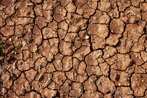 Dry cracked soil surface texture showing drought conditions and natural earth patterns.