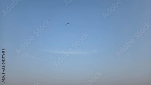 airplane flying in the sky