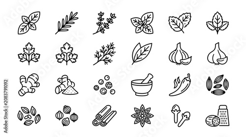 Herbs and Spices Icons: Cooking Ingredients Collection