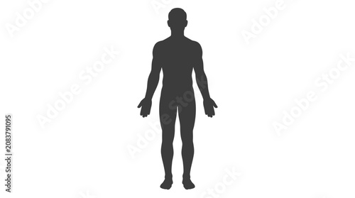 Human Silhouette Icon, Full Body, Front View, Isolated on White Background