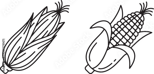 Foto Art & Illustration, Fresh corn outline icons showcasing an unpeeled ear of corn and a fully husked corn cob