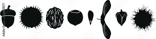 Schilderij op canvas Tree Seed and Fruit Silhouette Collection Featuring Acorn Chestnut Maple Samara