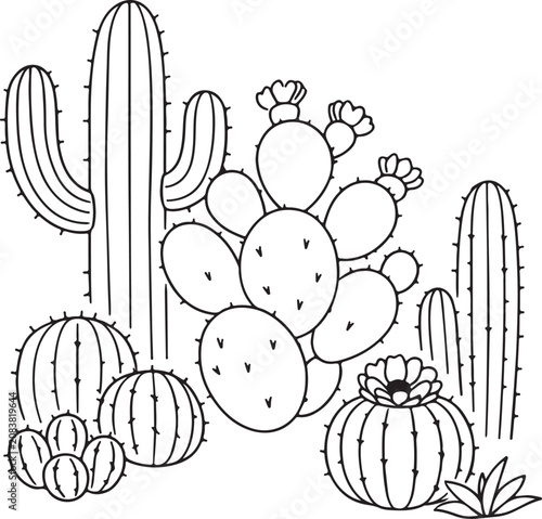 Cacti and Succulents Hand-Drawn Illustration