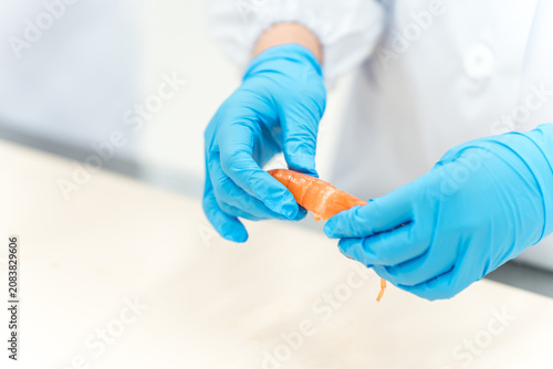 Obraz na plátně A food factory staff member peels shrimp and prepares them (food hygiene, food processing)