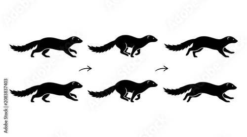 Ferret movement cycle silhouette collection showing walking and running poses for character animation and motion graphics design