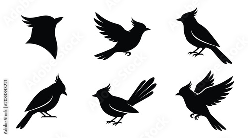 Set of cardinal bird silhouettes