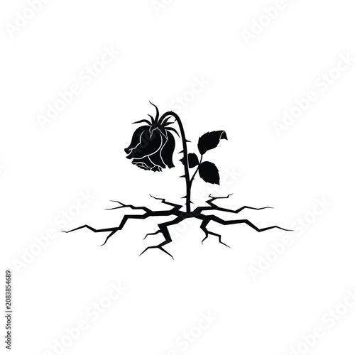 Photography Dead Flower With Roots Silhouette.