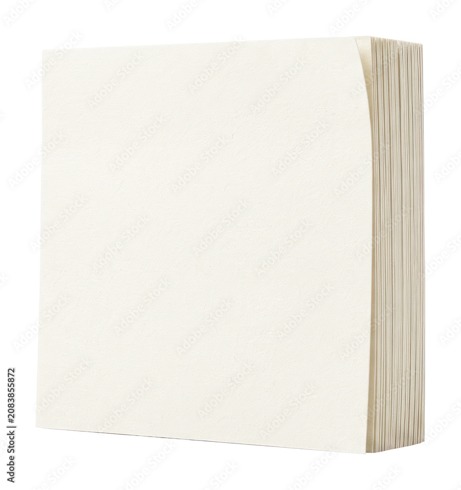 Fototapeta premium Stack of White Paper Sheets. Blank Stationery Block for Office Notes and Creative Projects.