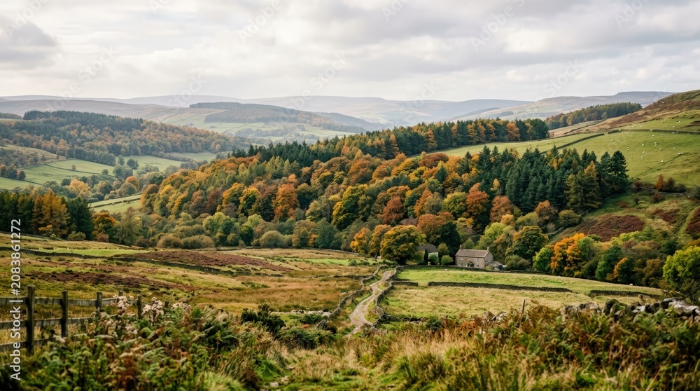 Naklejka premium Autumn Landscape with Rolling Hills and Forest.