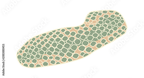 Foto Abstract organic cell structure with green and tan textures
