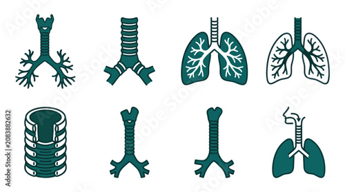 Bild auf Leinwand Respiratory system icon set with lungs and trachea