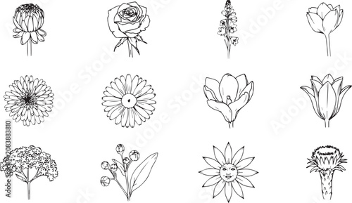 collection of various flowers and plants in black and white line art style