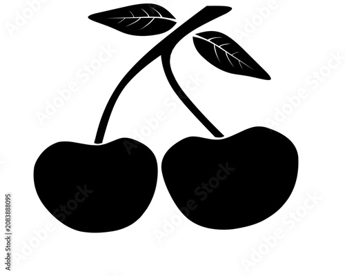 Tableau sur toile Two black cherries hanging on a single stem with fresh leaves representing sweet
