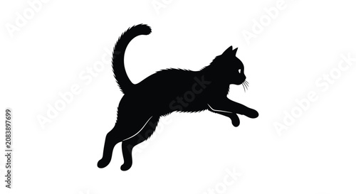 Photography Silhouette of a leaping cat in midair motion.