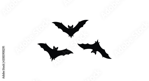Photography Three flying bats in silhouette with wings spread wide.
