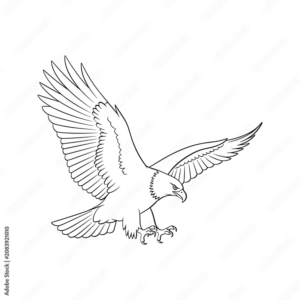 Obraz premium Eagle diving with talons extended on white background in sharp monochrome line aesthetic for athletic team branding