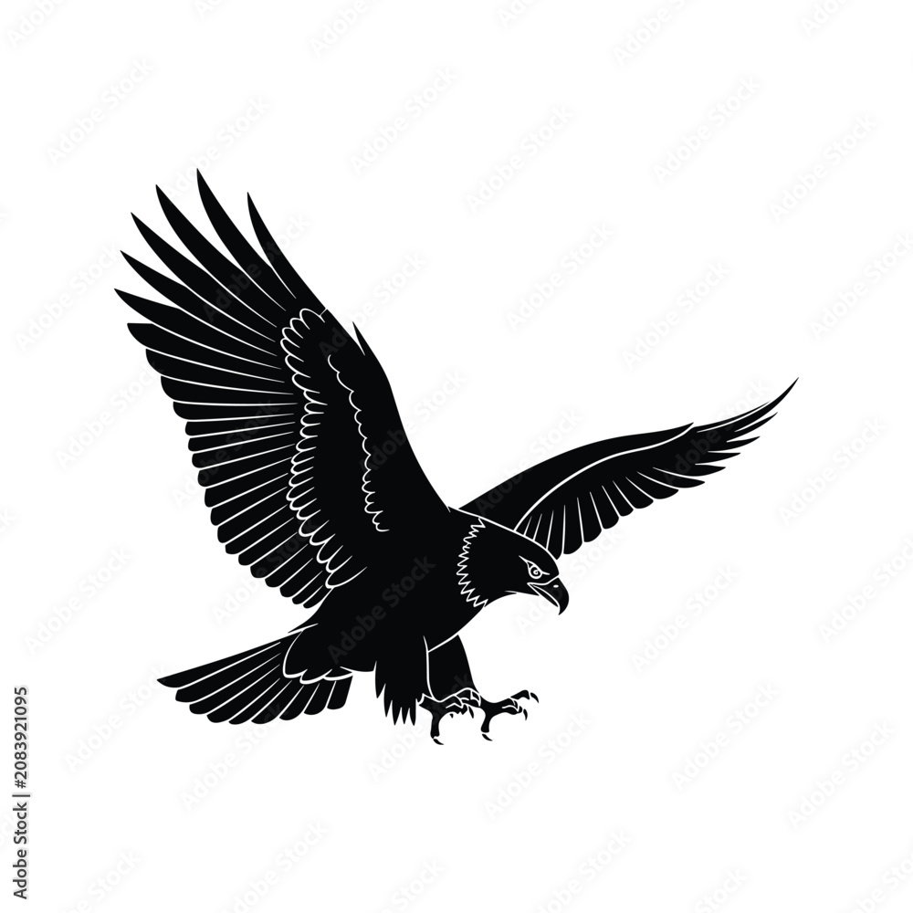 Fototapeta premium Bird of prey soaring downwards on isolated white background featuring sharp monochrome contrast for outdoor adventure