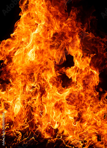 Quadro su tela Firelight glows on black background
