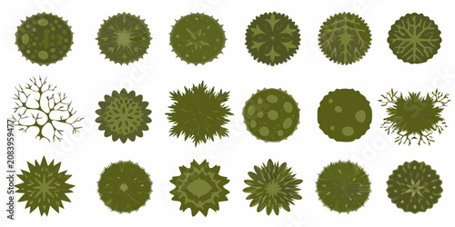 Foto Tree crown vector illustrations on a white background