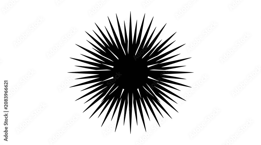 Fototapeta premium Abstract Starburst Silhouette, Radial Burst, Black and White Graphic