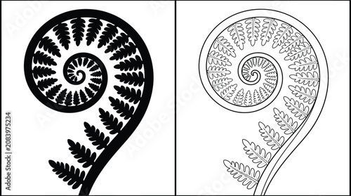Obraz na płótnie Fern Spiral Fiddlehead Icon with Black Silhouette and Outline Drawing, Organic P