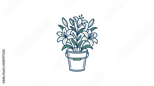 A beautiful potted lily plant with many blooming flowers.