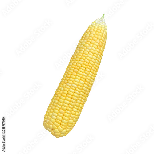 raw corn isolated on white