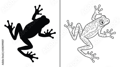 Cuadro en lienzo Frog Silhouette and Outline Illustration with Detailed Skin Patterns and an Icon
