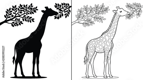 Canvas Print Giraffe Silhouette and Outline Eating Leaves From a Tree Branch, Presented as a