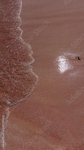 Billede på lærred Close-up view of a gentle ocean wave receding on a pink sandy beach, showing wet reflections