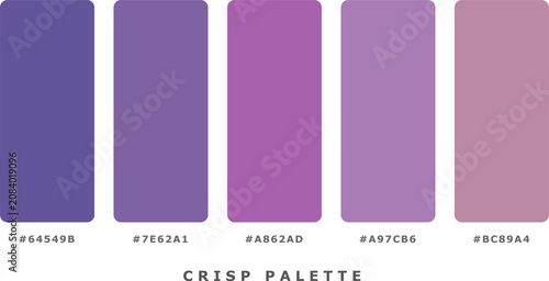 Fotografie Crisp palette with five shades of purple from dark to light
