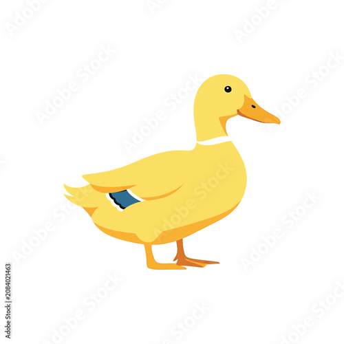 Yellow Cartoon Duck Walking Alone.