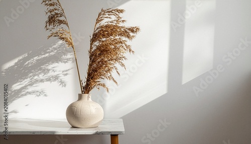 Minimalist Interior Decor with Dried Pampas Grass in a White Ceramic Vase on a Marble Shelf with Natural Sunlight Shadows