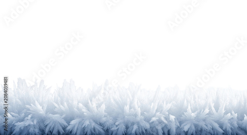 Highly detailed macro study of feathery rime ice and hoarfrost, translucent architecture on a smooth icy white gradient background with clear copy space. concept of winter texture minimalism