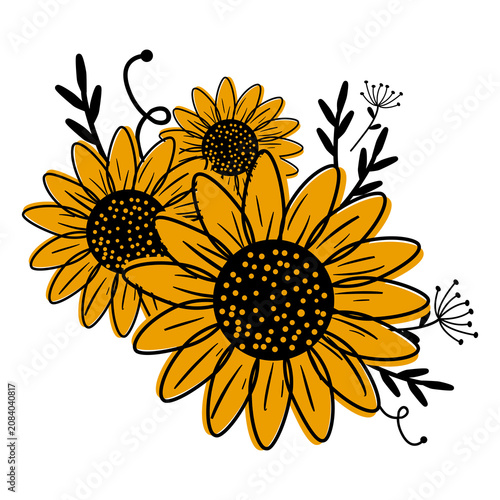 Sunflower Botanical Illustration